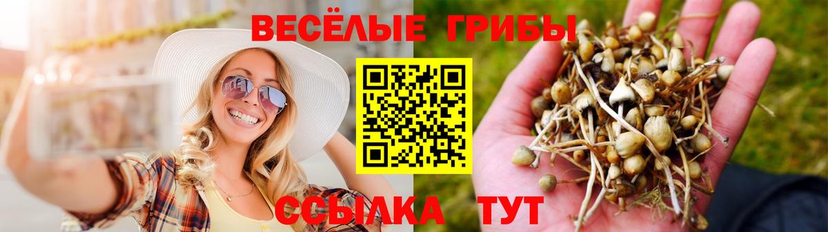 Лениногорск  купить   Псилоцибиновые грибы мухоморы  Вход с VPN  Псилоцибиновые грибы Magic Shrooms 